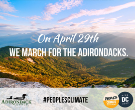 Join us for the People's Climate March in Washington, DC